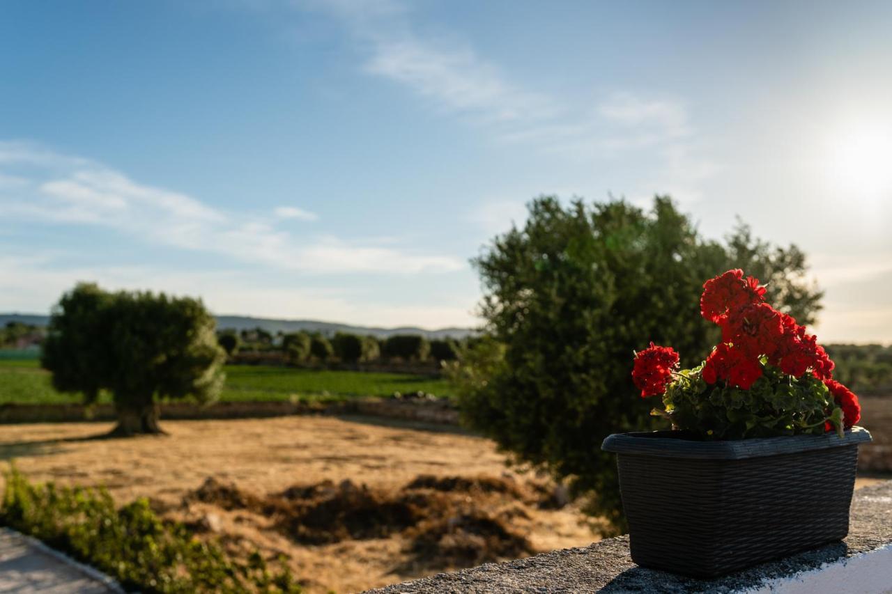 莫诺波利Il Pergolato Sul Mare别墅 外观 照片